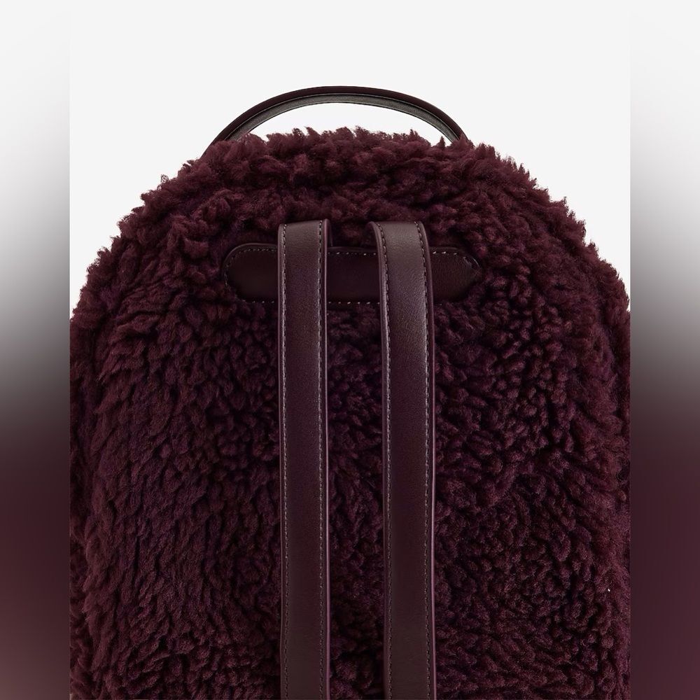 Express Teddy Mini Backpack - Picture 2 of 2